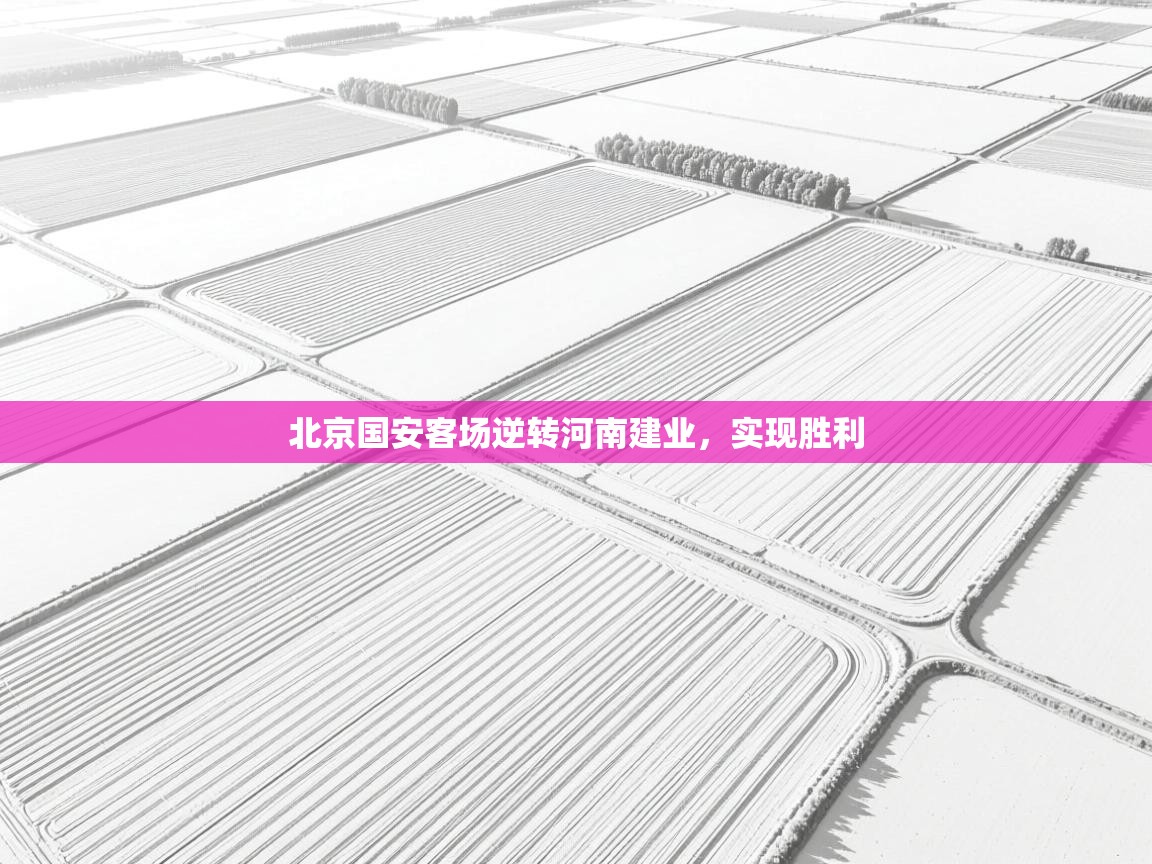 北京国安客场逆转河南建业,实现胜利 第2张