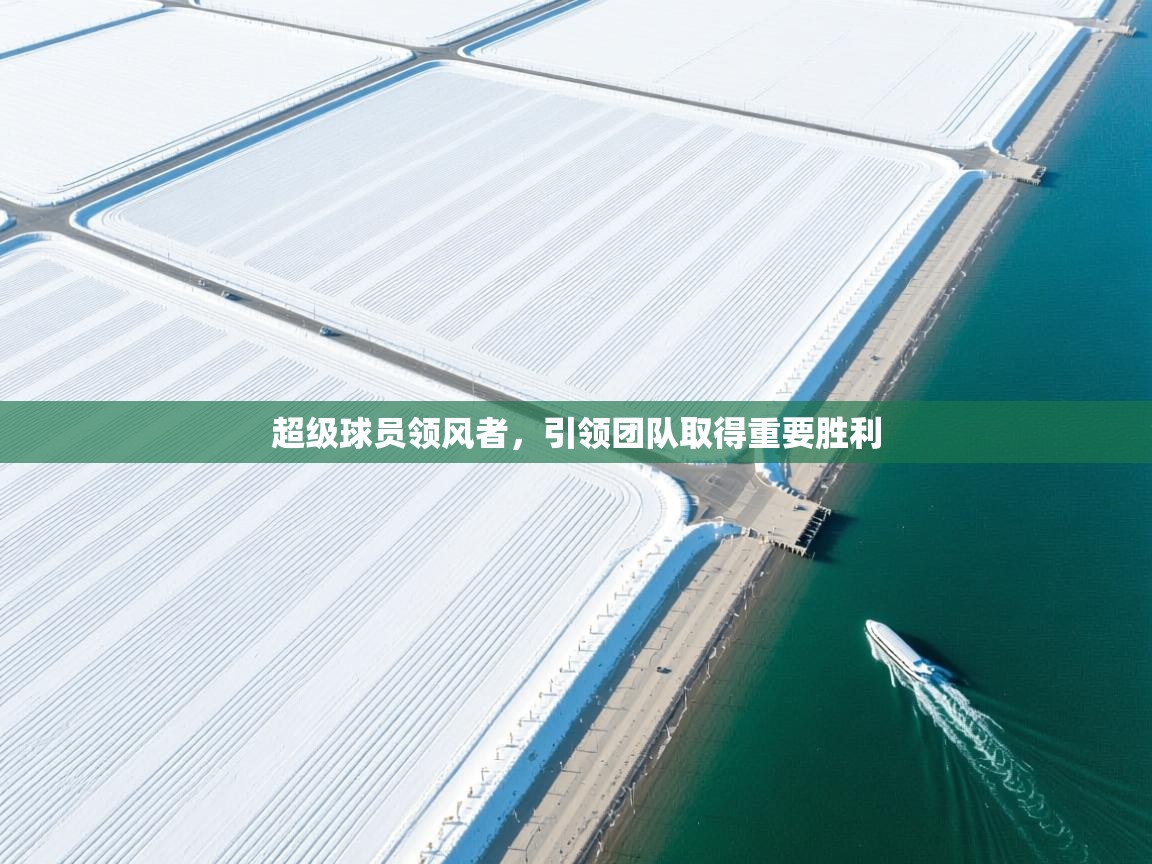 超级球员领风者，引领团队取得重要胜利  第1张