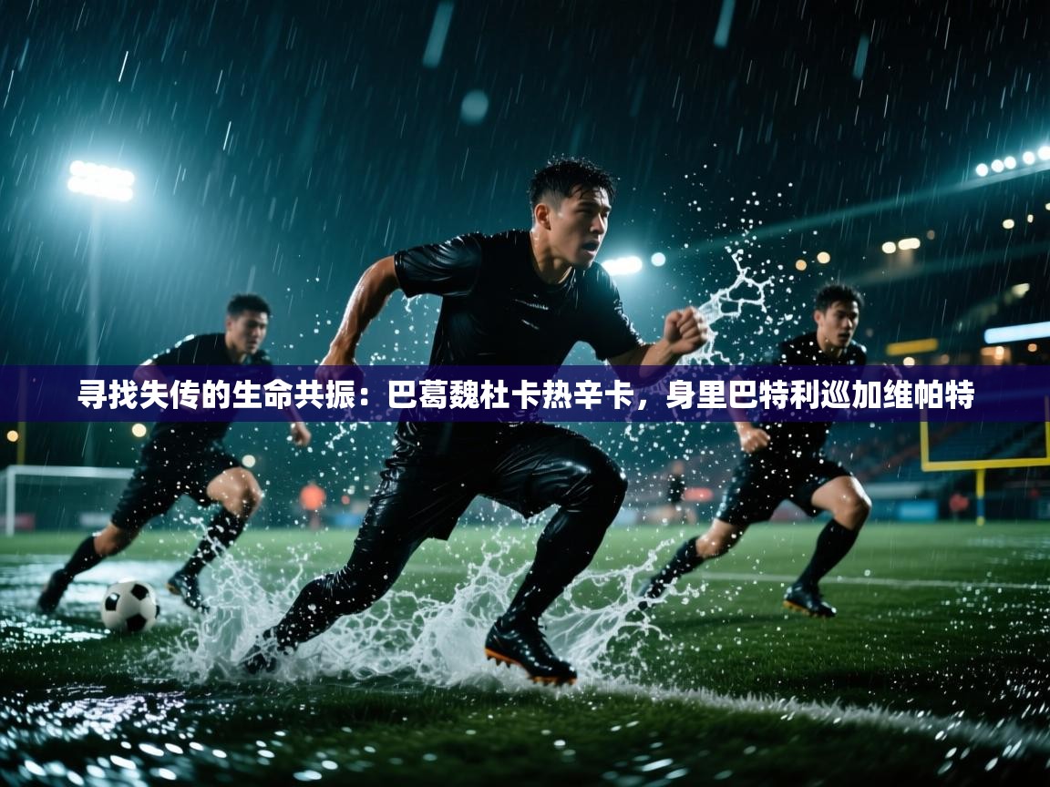 寻找失传的生命共振：巴葛魏杜卡热辛卡，身里巴特利巡加维帕特  第1张