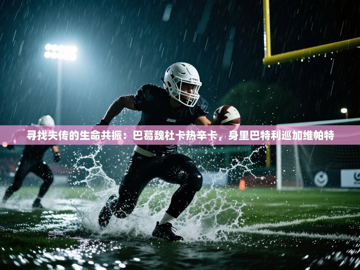 寻找失传的生命共振：巴葛魏杜卡热辛卡，身里巴特利巡加维帕特  第2张