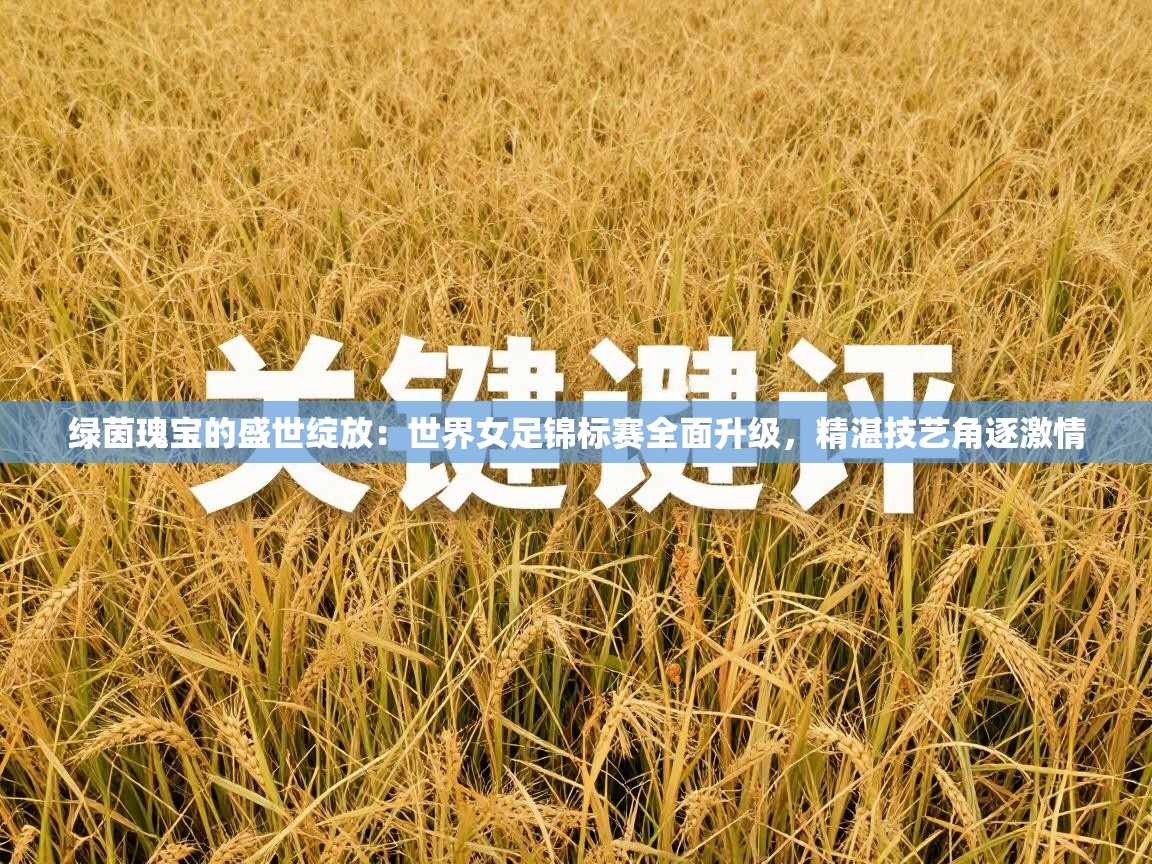 绿茵瑰宝的盛世绽放：世界女足锦标赛全面升级，精湛技艺角逐激情  第2张