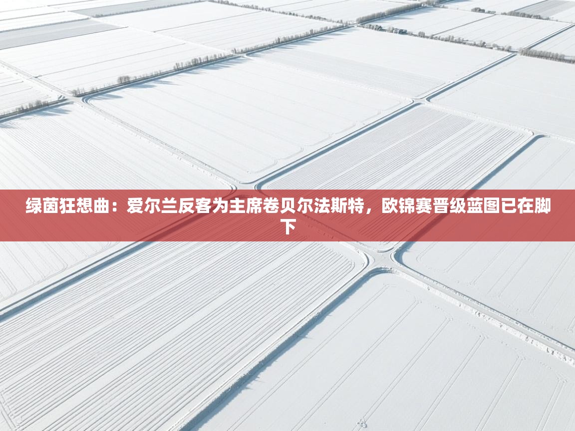 绿茵狂想曲：爱尔兰反客为主席卷贝尔法斯特，欧锦赛晋级蓝图已在脚下  第1张