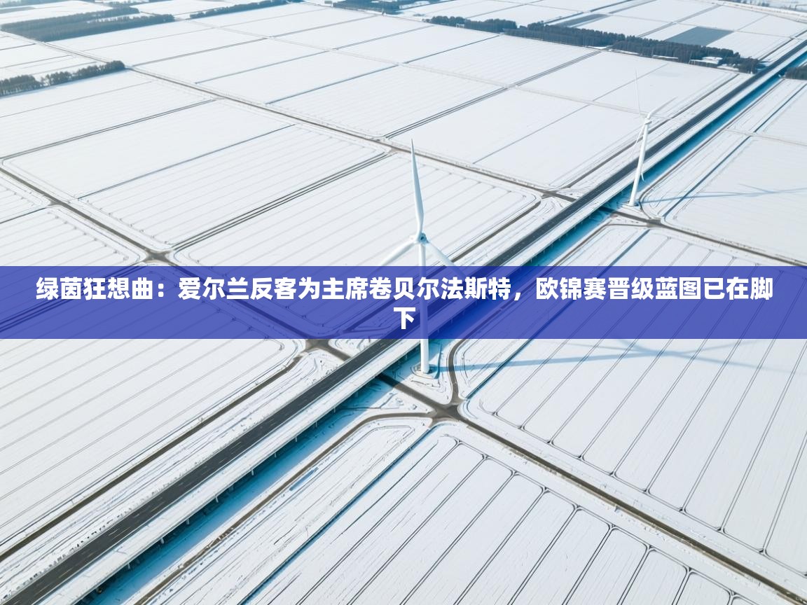 绿茵狂想曲：爱尔兰反客为主席卷贝尔法斯特，欧锦赛晋级蓝图已在脚下  第2张