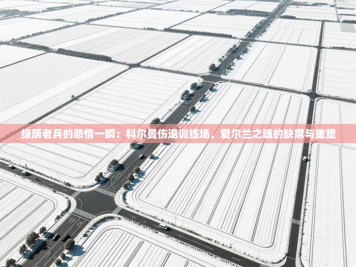 绿荫老兵的悲情一瞬：科尔曼伤退训练场，爱尔兰之魂的缺席与重塑  第1张