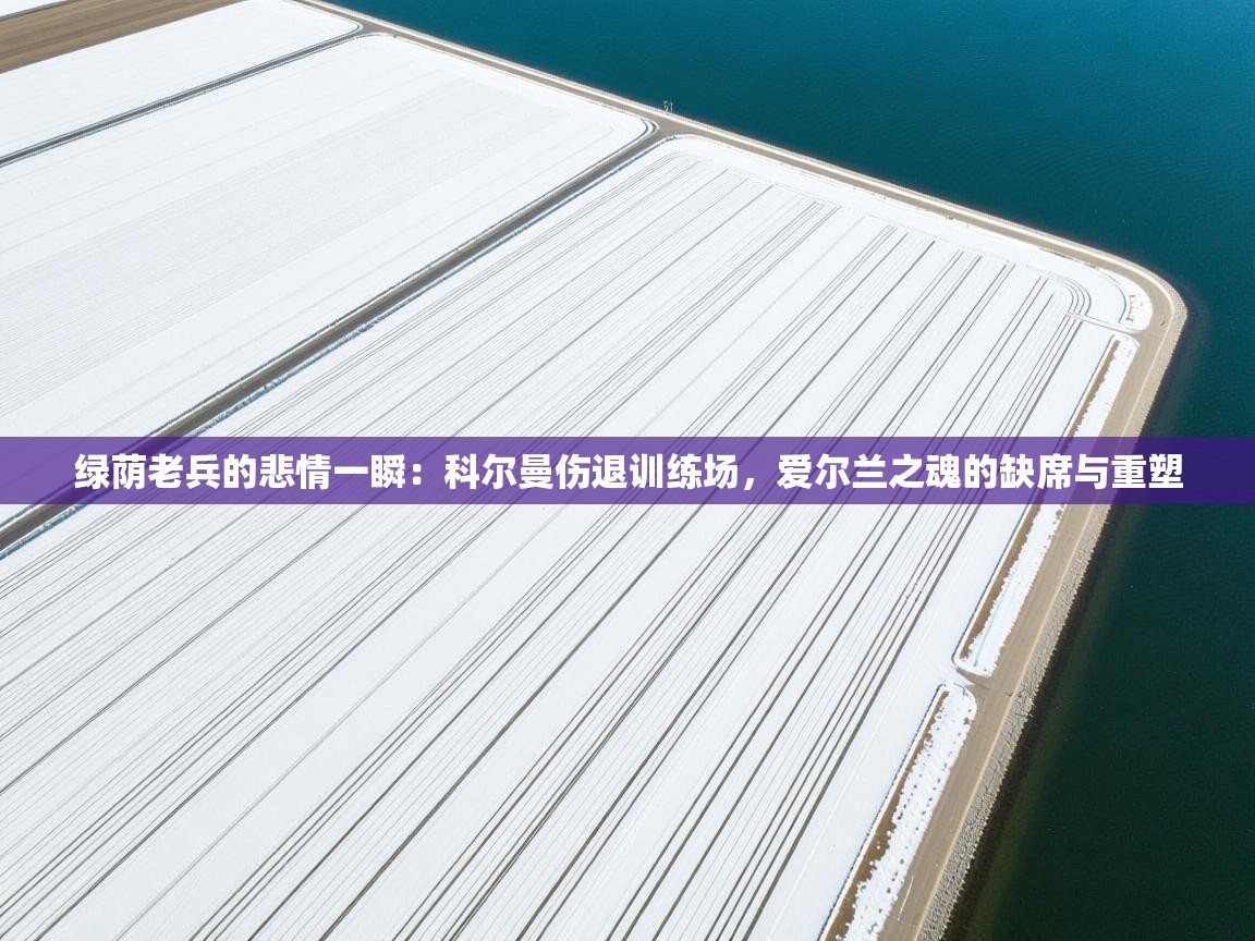 绿荫老兵的悲情一瞬：科尔曼伤退训练场，爱尔兰之魂的缺席与重塑  第2张
