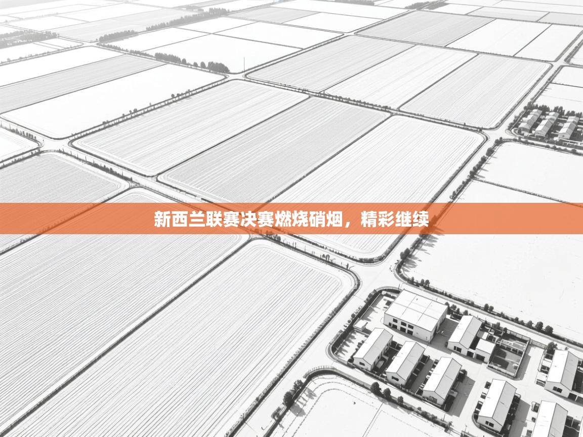 新西兰联赛决赛燃烧硝烟,精彩继续 第1张