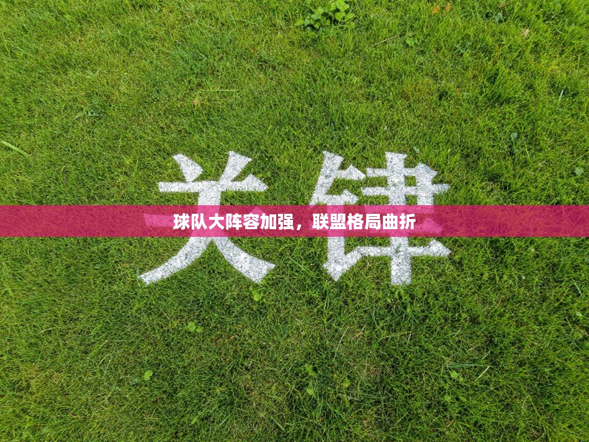 球队大阵容加强,联盟格局曲折 第2张