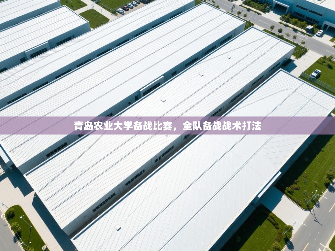 青岛农业大学备战比赛,全队备战战术打法 第2张